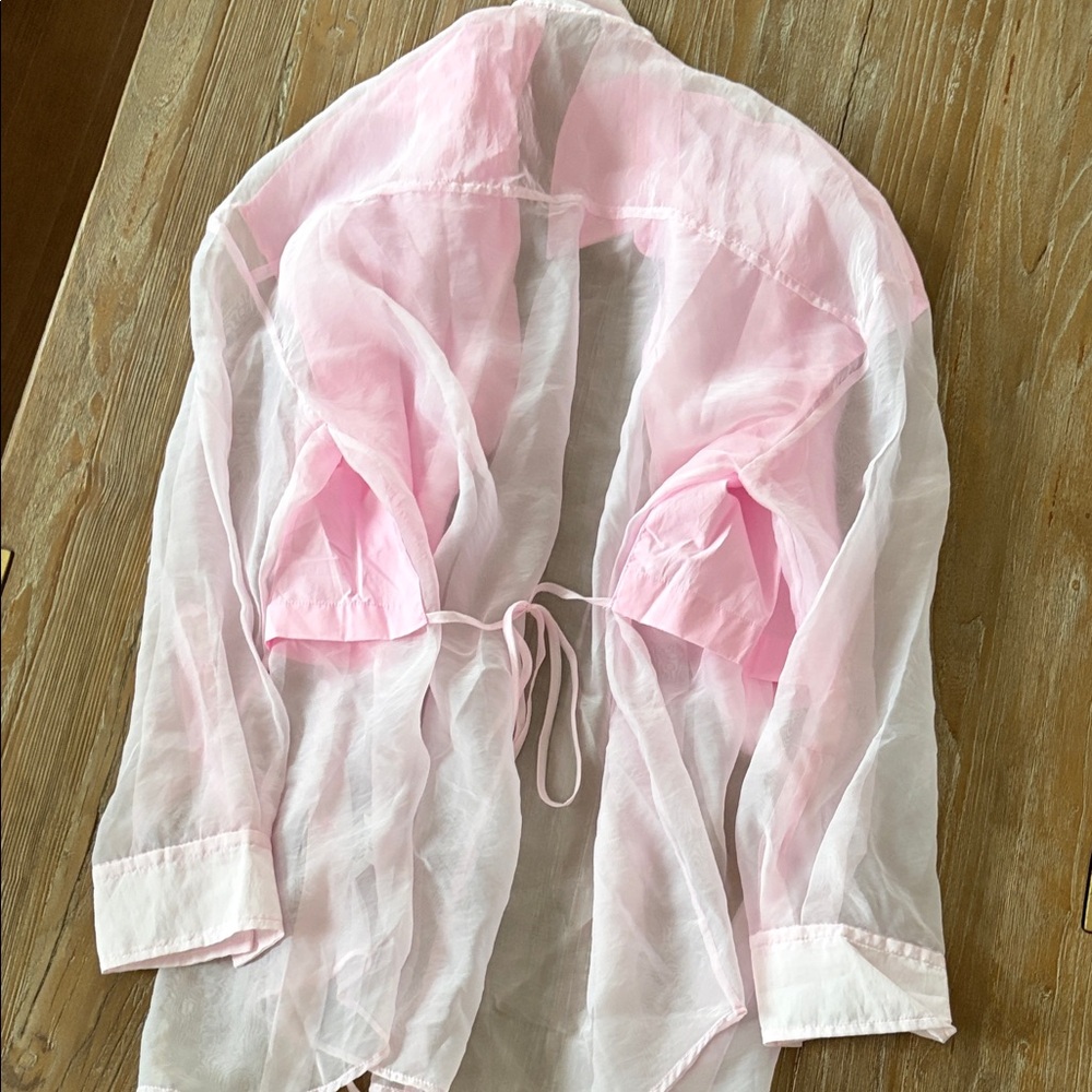 Zara Light Pink Sheer Panel Button-Up Shirt - size Small - Picture 3 of 3